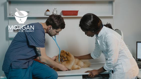 Custom Compounded Veterinary Medicine and Solutions